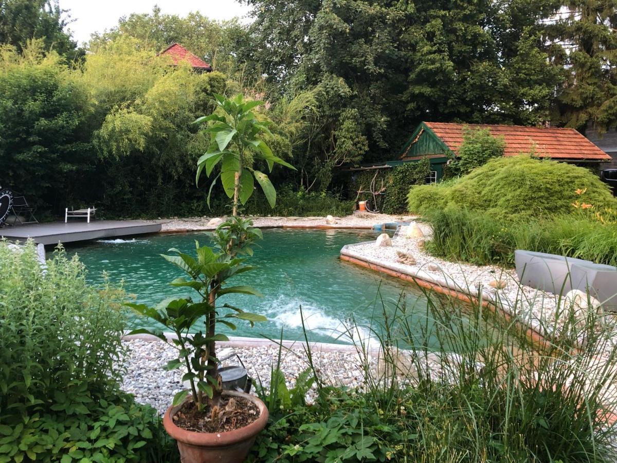 Haus Mit Sauna Und Privatem Badeteich In Anif Bei Salzburg Exteriér fotografie